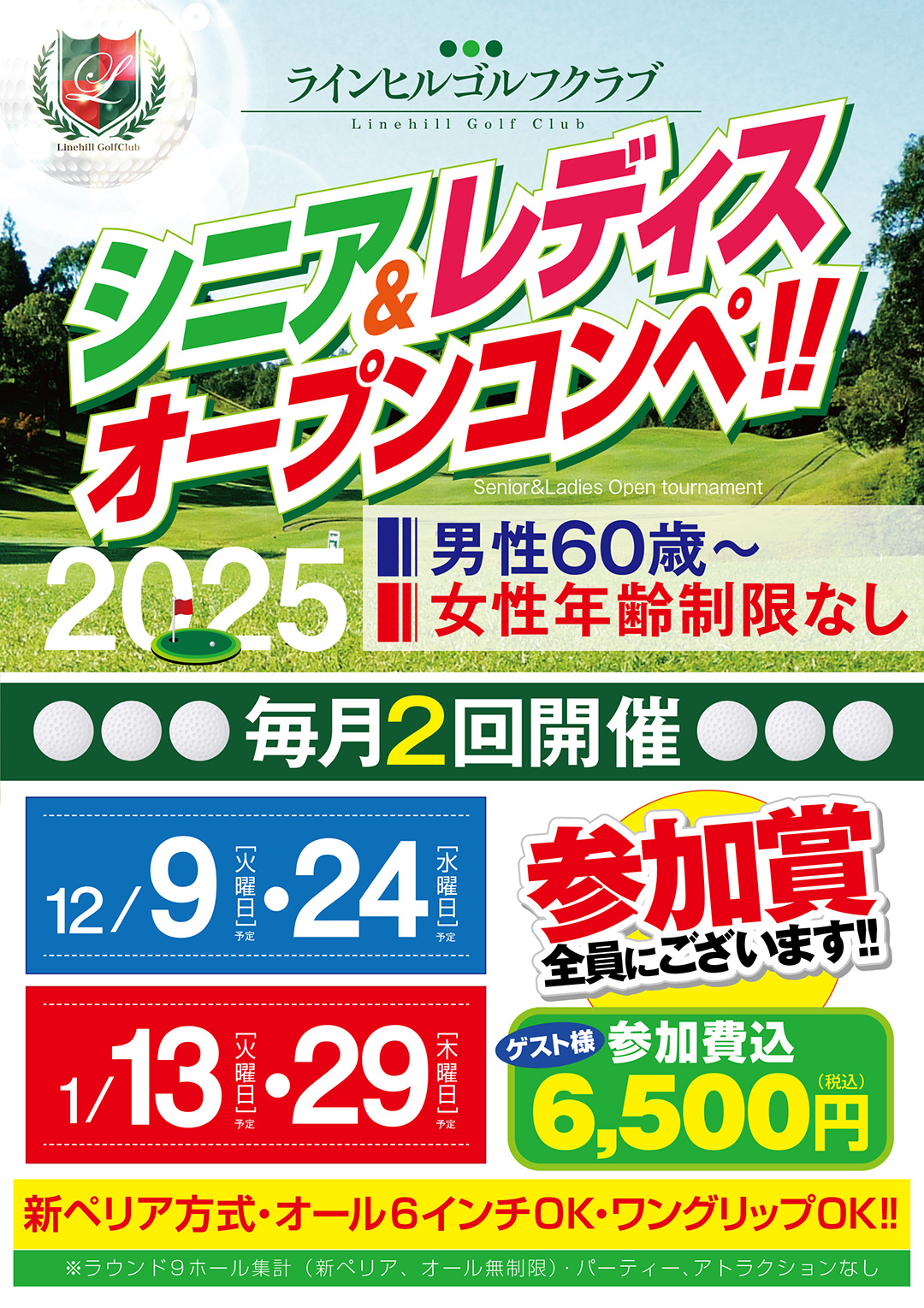 シニアレディス杯